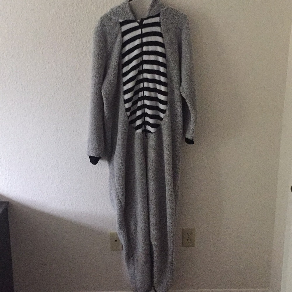 Raccoon Onsie